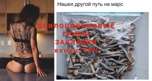 прущие крисы Вяземский