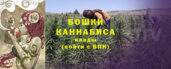 прущие крисы Вяземский