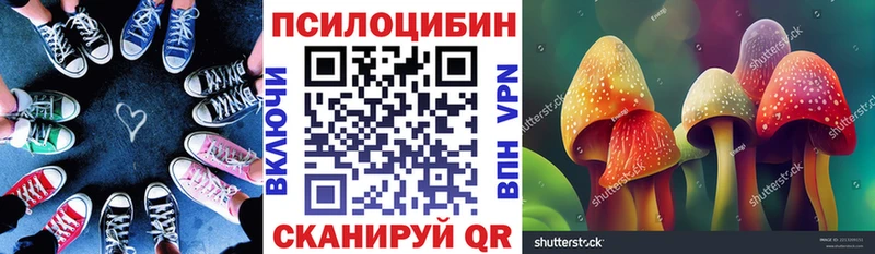 где продают наркотики  Балаково  Галлюциногенные грибы мухоморы 